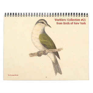 Warbler Collection #2 Lithographs from Birds of NY Calendar
