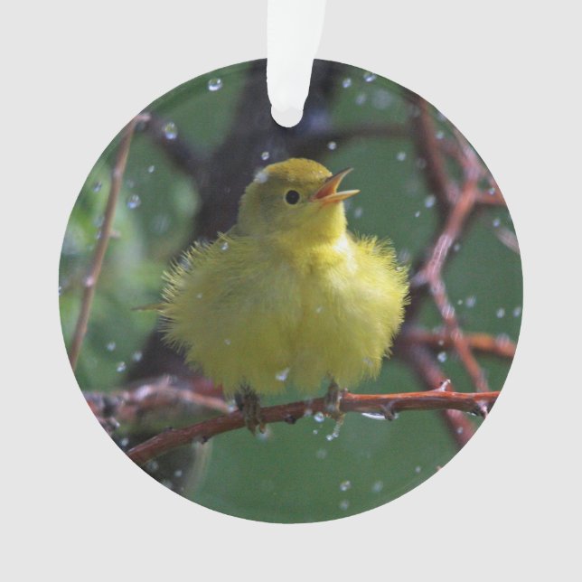 Warbler Ornament (Front)