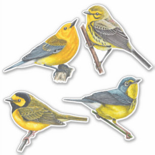 Warblers Stickers Value Pack