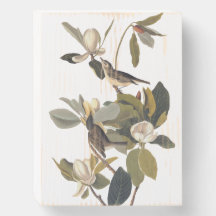 Warbling Flycatcher Kingbirds Vintage Audubon art