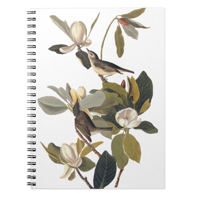 Warbling Flycatcher Kingbirds Vintage Audubon Notebook (Front)
