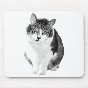 Warm Calm Focus Mouse Pad