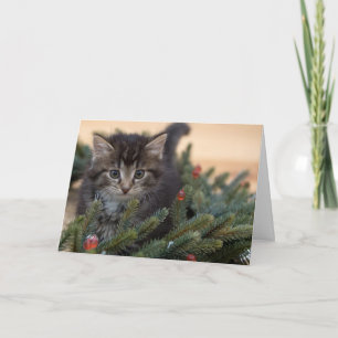 Warm Cat Christmas Greeting Card