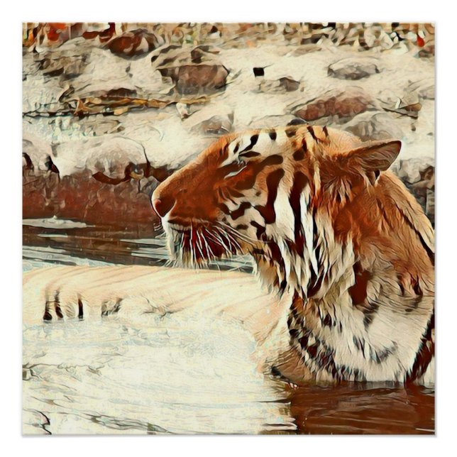 warm coloured swimming tiger poster (Front)