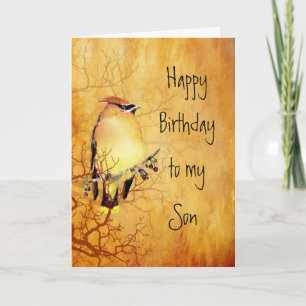 Warm Copper Cedar Waxwing Bird Son Birthday Card