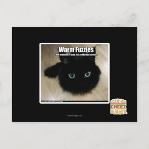 Warm Fuzzies Postcard