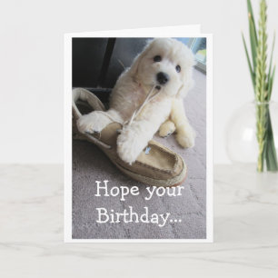 Warm Fuzzy Birthday, Cute Goldendoodle pup Humour Card