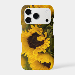 Warm Golden Sunflower Custom