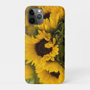 Warm Golden Sunflower Custom iPhone 11 Pro Case