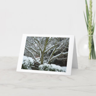 Warm Holiday Wishes
