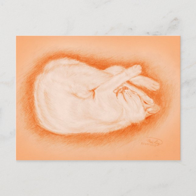 Warm like a Firefly Postcard (Front)