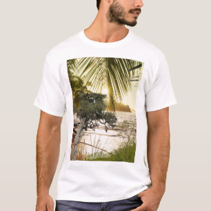 Warm Nature Scene with Trees, Water and Sunlight T-Shirt