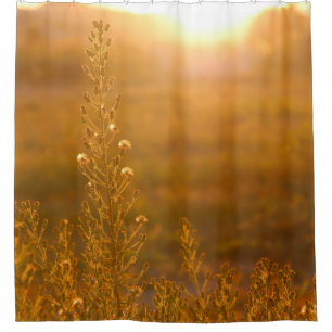 WARM SHOT OF MEADOW GRASS