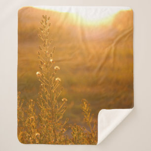 WARM SHOT OF MEADOW GRASS SHERPA BLANKET