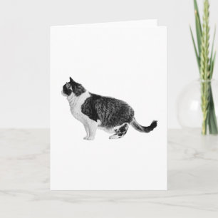 Warm Side View, Kind Wishes Card