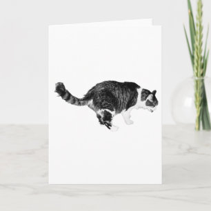 Warm Whiskers, Seasonal Joy Card