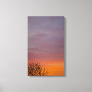 Warm Winter Sunrise, Ohio Canvas Print