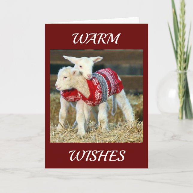 WARM WISHES FROM GOATS WITH SWEATERS AT CHRISTMAS CARD (Front)