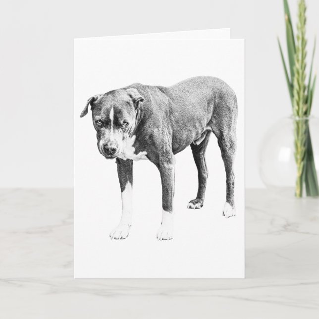 Warm Wishes, Steady Friend Card (Front)