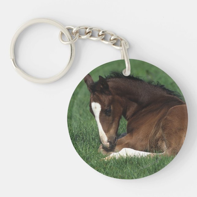 Warmblood Foal Laying Down Keychain (Front)