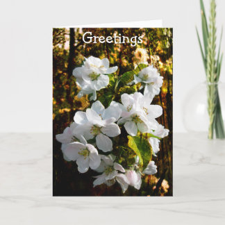 Warmest Greetings Card