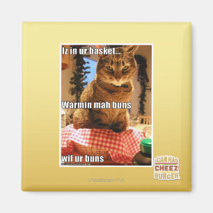Warmin mah buns magnet