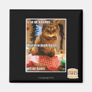 Warmin mah buns magnet