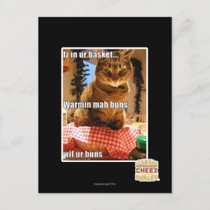 Warmin mah buns postcard