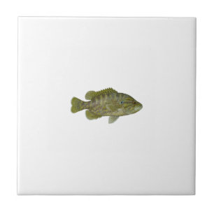 Warmouth Bass Tile