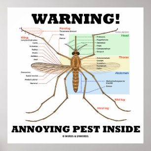 Warning! Annoying Pest Inside (Mosquito Anatomy) Poster