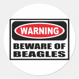 Warning BEWARE OF BEAGLES Sticker