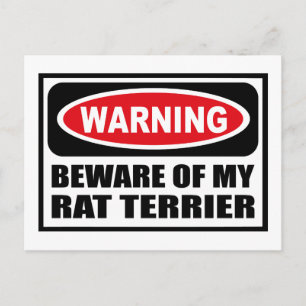 Warning BEWARE OF MY RAT TERRIER Postcard
