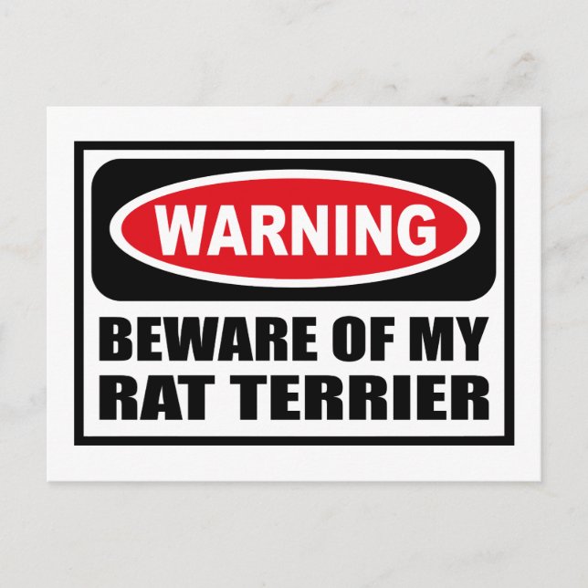 Warning BEWARE OF MY RAT TERRIER Postcard (Front)
