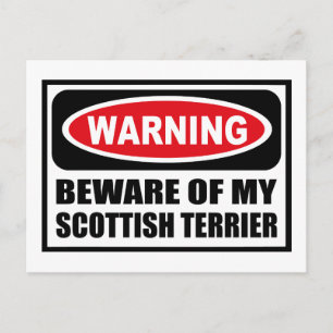 Warning BEWARE OF MY SCOTTISH TERRIER Postcard