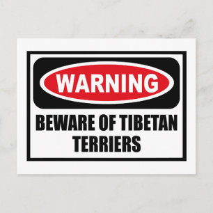Warning BEWARE OF TIBETAN TERRIERS Postcard