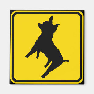 Warning - Chihuahua Xing! Magnet
