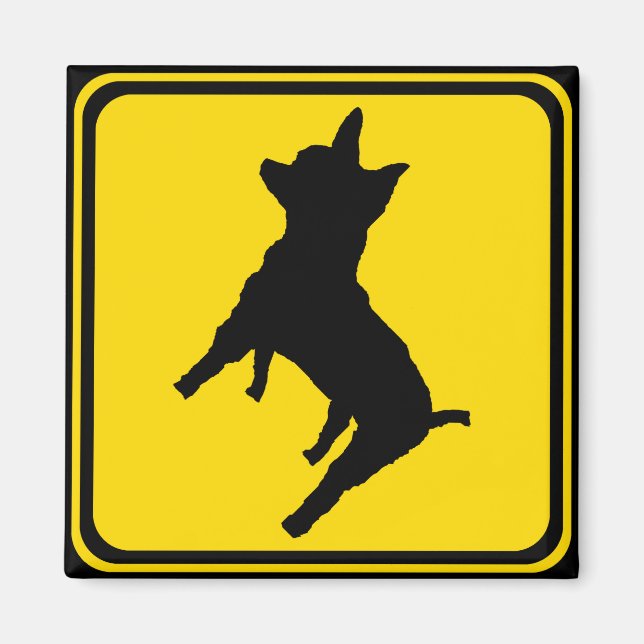 Warning - Chihuahua Xing! Magnet (Front)