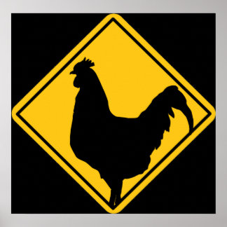 Warning; Cocky! Poster