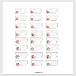 WARNING CONCEALED AIR TAG STICKER