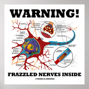 Warning! Frazzled Nerves Inside Neuron Synapse Poster
