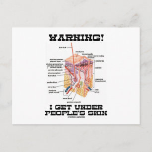 Warning! I Get Under People's Skin (Dermal Layers) Postcard