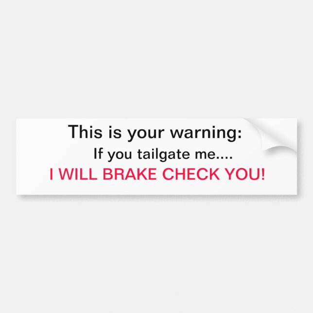 Warning...I will break check you Bumper Sticker (Front)