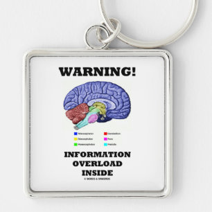 Warning! Information Overload Inside (Brain Keychain