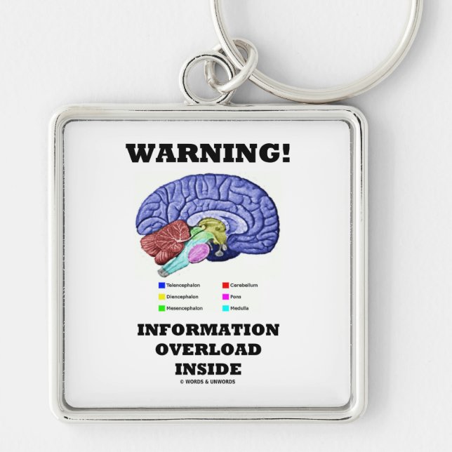 Warning! Information Overload Inside (Brain Keychain (Front)