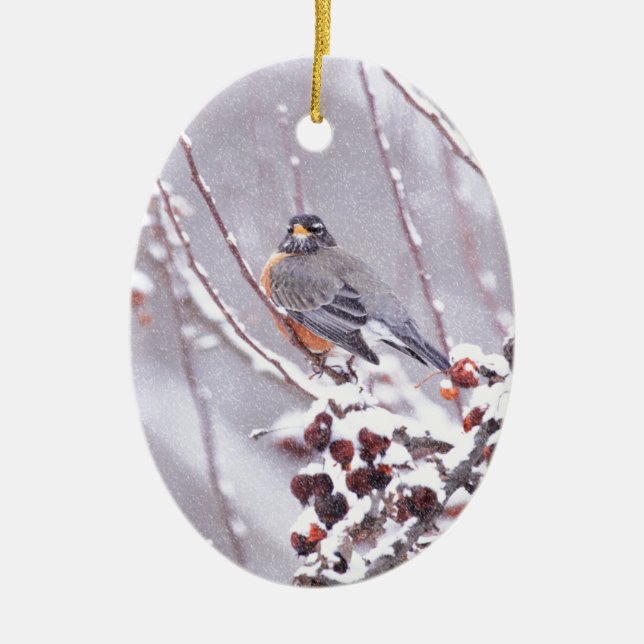 Warrior American Robin In Winter Ceramic Ornament (Front)