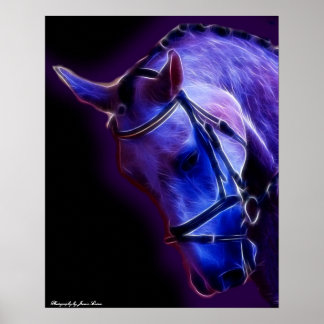 Warrior in Purple Poster