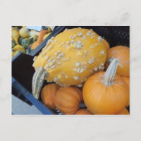 Warted Pumpkin