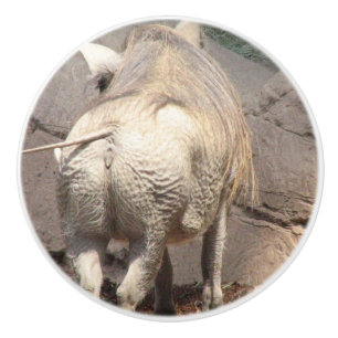 Warthog Ceramic Knob