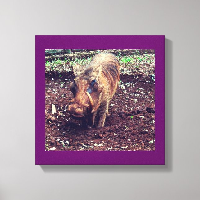 Warthog in Kenya Canvas Print (Front)
