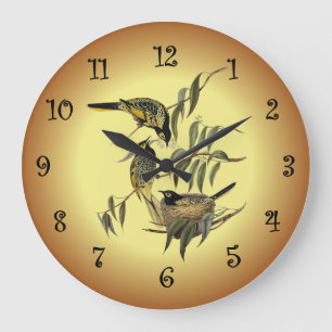 Warty-Faced Honey-Eater ~ Elizabeth Gould 14 ~ Large Clock